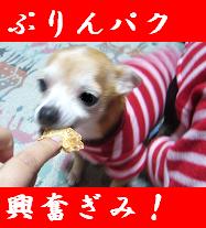 ぷりんご3 893.jpg