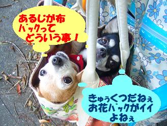 ぷりんご2 130.jpg