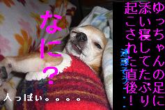 ぷりんご2 231.jpg