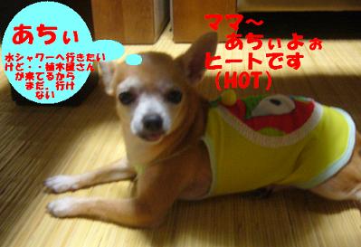 ぷりんご 055.jpg