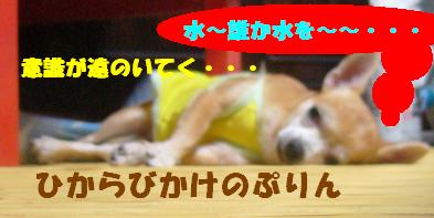 ぷりんご 076.jpg