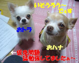 ぷりんご2 075.jpg