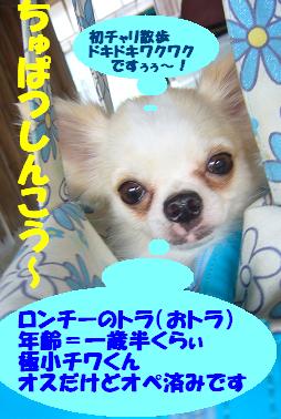 ぷりんご2 122.jpg