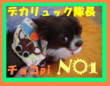 img223b8f15qivffk.jpg