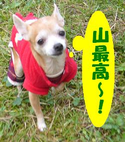 ぷりんご2 173.jpg