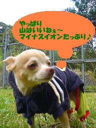 ぷりんご2 142.jpg