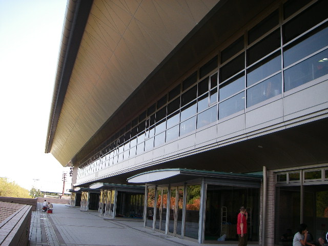 IMGP1303.JPG