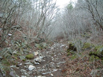 茅ヶ岳山道