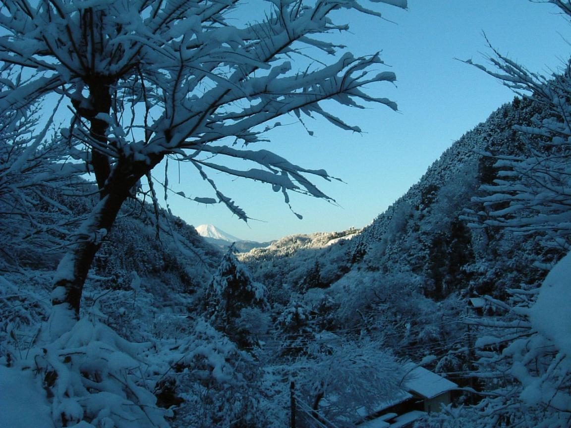ちょこっと見える富士山