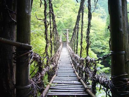 かずら橋2.JPG