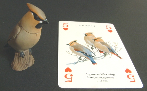 blog0510.JPG