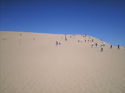 砂丘.JPG