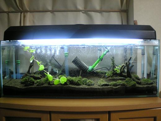 90センチ水槽2.JPG