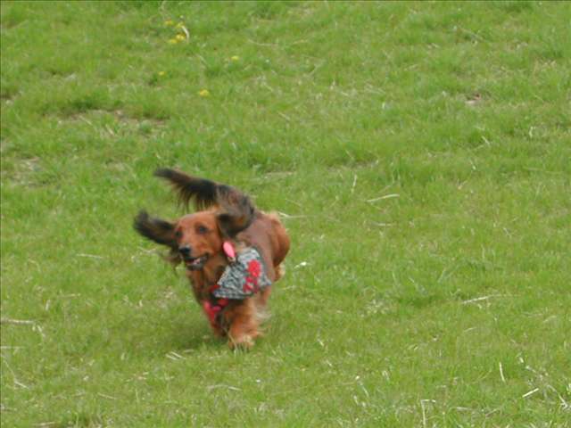 DSCN0261_t.jpg