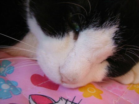 2007_0106画像0008.JPG