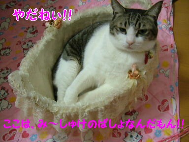 2007_0109画像0001.JPG