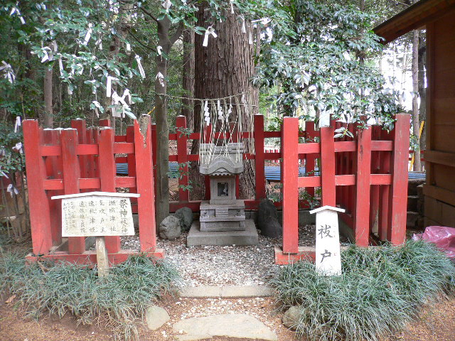 P1030823.JPG