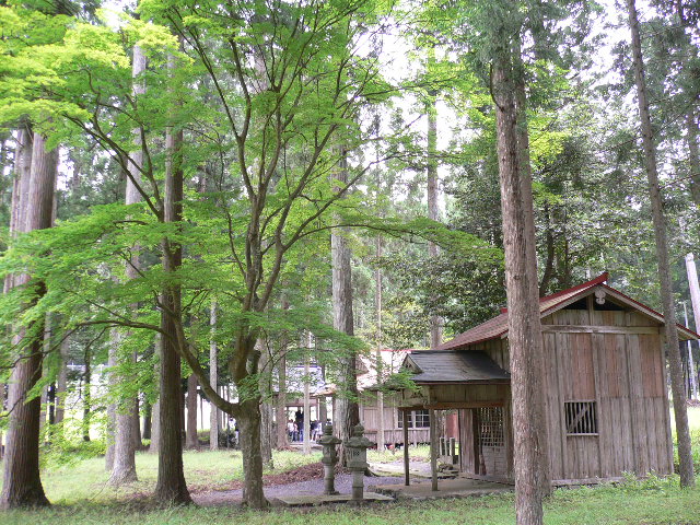 P1040516.JPG