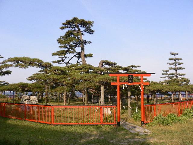 P1040175.JPG