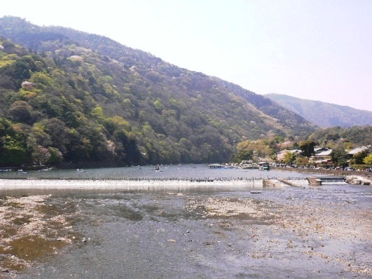 P1050824.JPG
