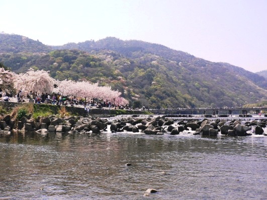 P1050815.JPG