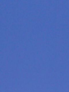 あお～ぃ+。:.゜ヽ(*´∀`)ノ゜.:。+゜