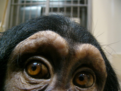 テレビで見たょ♪.