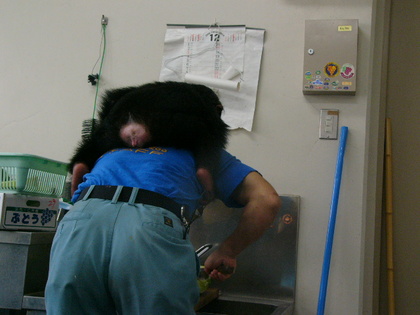 べったりぃ～♪