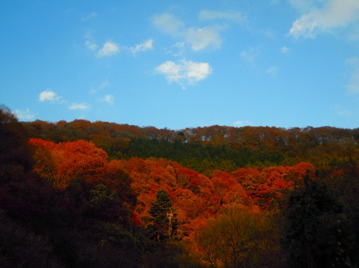 秋の山。