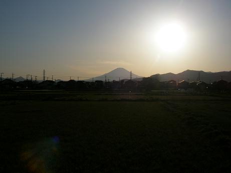 富士山を望む