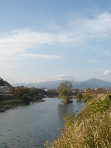 渋田川の秋