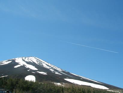 もう、サイコーだ