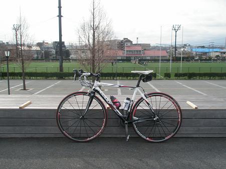 馬入ふれあい公園にて