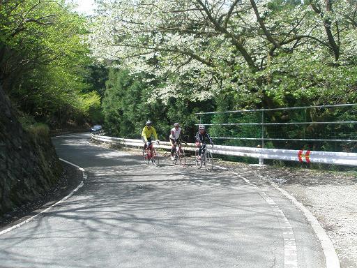 なんか、いい感じですなぁ。