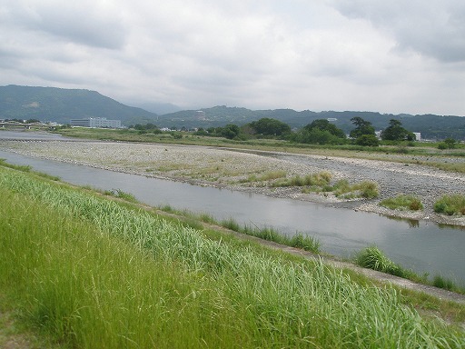 酒匂川