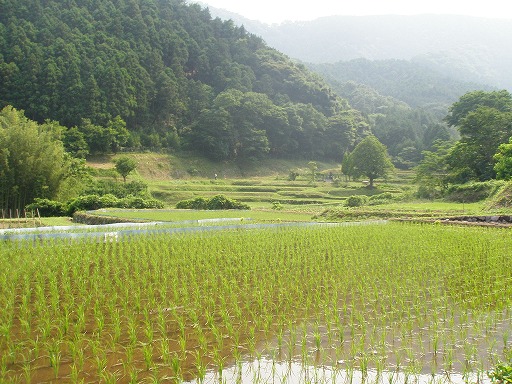 里山