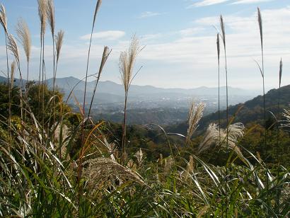 秦野市三廻部から