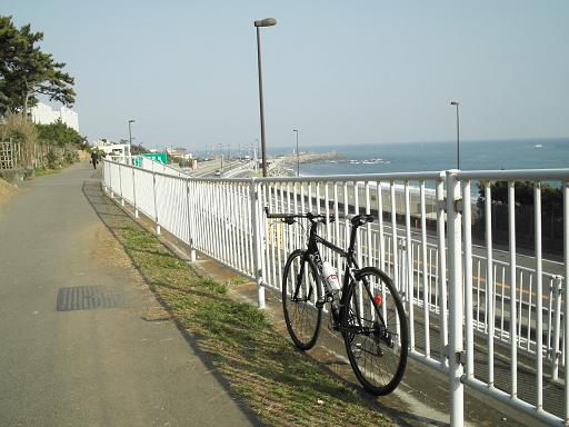 自転車道は気持ちいい