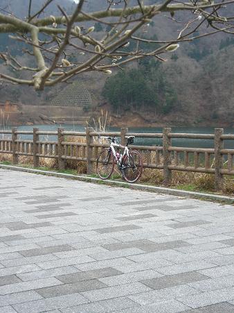 宮ヶ瀬湖のほとりにて