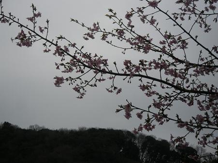 雨が降らないうちに…