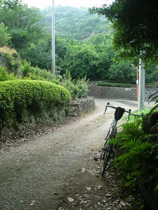 僕の夏休み