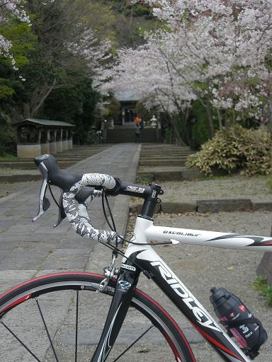 高来神社