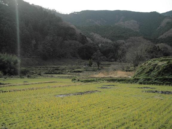 里山、落ち着きます