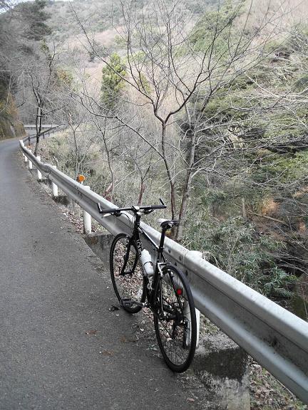 冬の山道