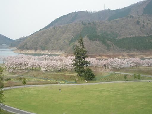 宮ヶ瀬湖