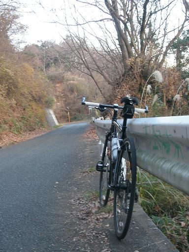 日向林道