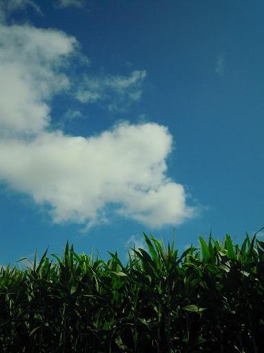 青空