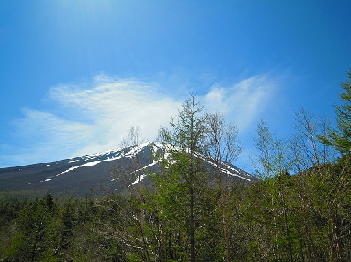 富士山