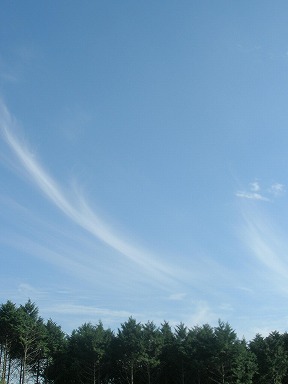 青空に包まれて。