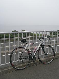 今日の太平洋自転車道